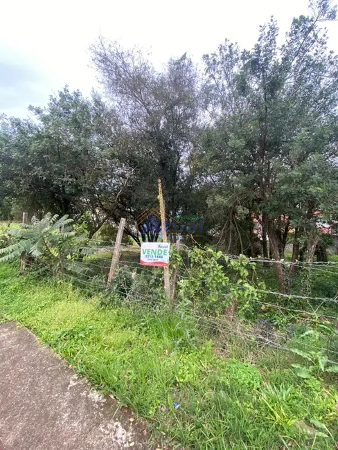 Foto 6 de Terreno / Lote à venda, 388m2 em Pascotini, Santo Angelo - RS