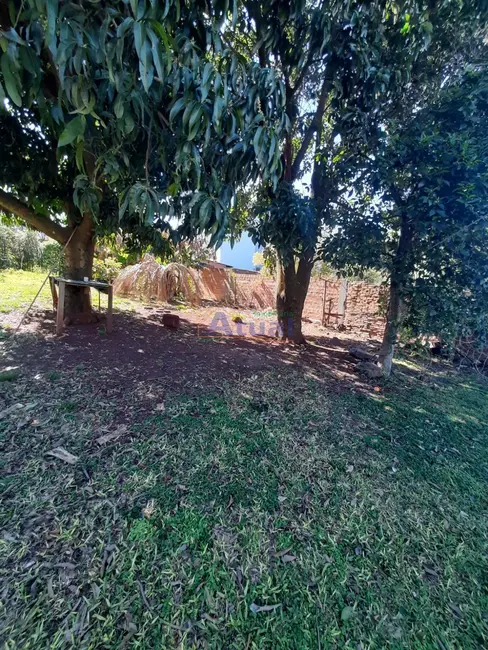 Foto 5 de Casa com 3 quartos para alugar em Oliveira, Santo Angelo - RS