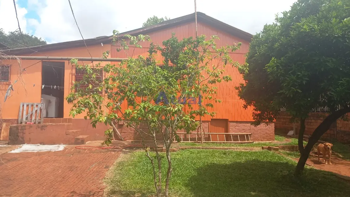 Casa com 4 quartos à venda, 140m2 em Dytz, Santo Angelo - RS - imagem 8 Foto 8 de Casa com 4 quartos à venda, 140m2 em Dytz, Santo Angelo - RS