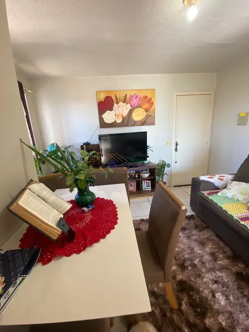 Apartamento com 2 quartos à venda, 46m2 em Mário Pilau, Santo Angelo - RS - imagem 3 Foto 3 de Apartamento com 2 quartos à venda, 46m2 em Mário Pilau, Santo Angelo - RS