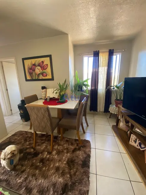 Apartamento com 2 quartos à venda, 46m2 em Mário Pilau, Santo Angelo - RS - imagem 2 Foto 2 de Apartamento com 2 quartos à venda, 46m2 em Mário Pilau, Santo Angelo - RS