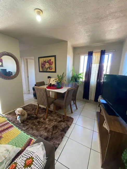 Apartamento com 2 quartos à venda, 46m2 em Mário Pilau, Santo Angelo - RS - imagem 1 Foto 1 de Apartamento com 2 quartos à venda, 46m2 em Mário Pilau, Santo Angelo - RS