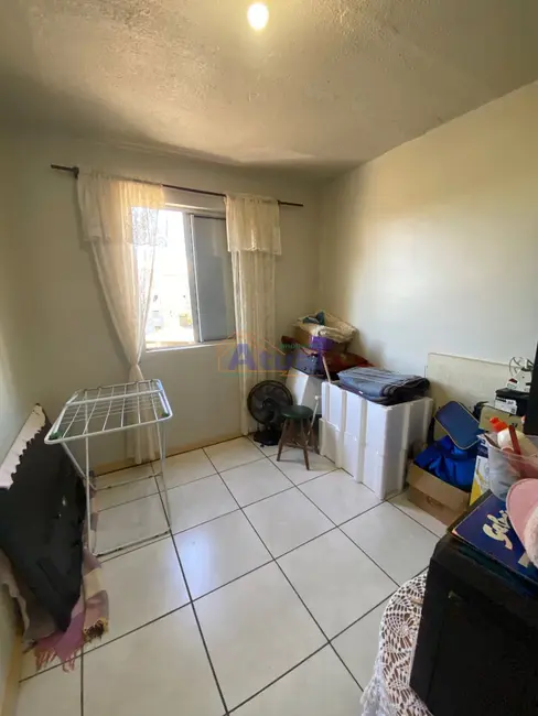 Apartamento com 2 quartos à venda, 46m2 em Mário Pilau, Santo Angelo - RS - imagem 7 Foto 7 de Apartamento com 2 quartos à venda, 46m2 em Mário Pilau, Santo Angelo - RS