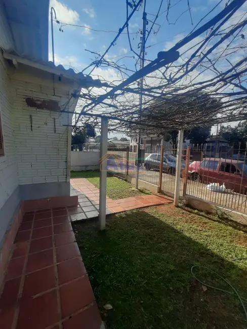 Foto 2 de Casa com 3 quartos à venda, 85m2 em Hortência, Santo Angelo - RS