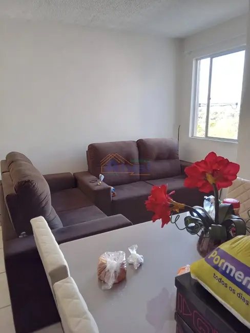 Apartamento com 2 quartos à venda, 42m2 em Mário Pilau, Santo Angelo - RS - imagem 1 Foto 1 de Apartamento com 2 quartos à venda, 42m2 em Mário Pilau, Santo Angelo - RS