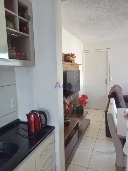 Apartamento com 2 quartos à venda, 42m2 em Mário Pilau, Santo Angelo - RS - imagem 5 Foto 5 de Apartamento com 2 quartos à venda, 42m2 em Mário Pilau, Santo Angelo - RS