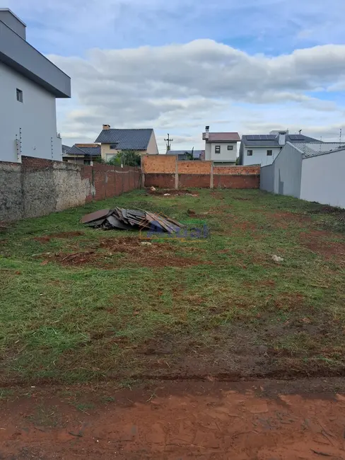 Terreno / Lote à venda, 490m2 em Menezes, Santo Angelo - RS - imagem 5 Foto 5 de Terreno / Lote à venda, 490m2 em Menezes, Santo Angelo - RS