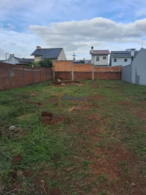 Terreno / Lote à venda, 490m2 em Menezes, Santo Angelo - RS - imagem 1 Foto 1 de Terreno / Lote à venda, 490m2 em Menezes, Santo Angelo - RS