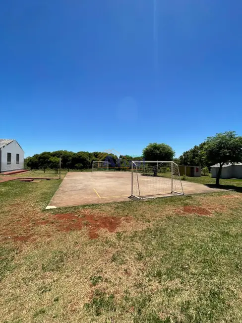 Foto 8 de Apartamento com 2 quartos para alugar em Mário Pilau, Santo Angelo - RS