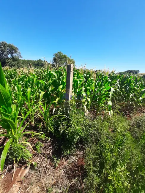 Terreno / Lote à venda, 270m2 em Esperança, Santo Angelo - RS - imagem 3 Foto 3 de Terreno / Lote à venda, 270m2 em Esperança, Santo Angelo - RS