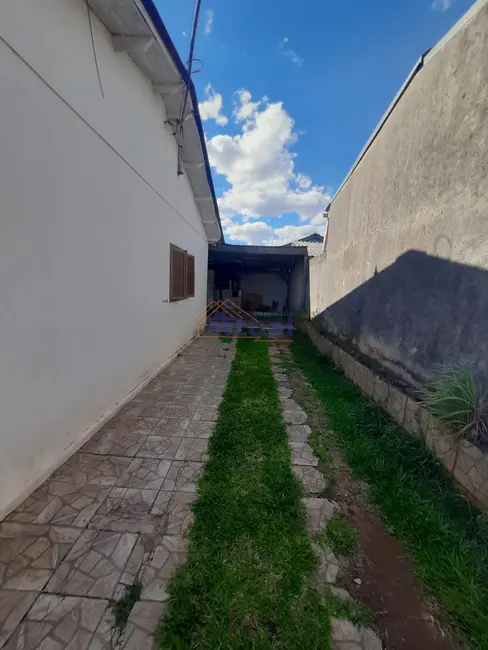 Foto 7 de Casa com 3 quartos para alugar em Missões, Santo Angelo - RS