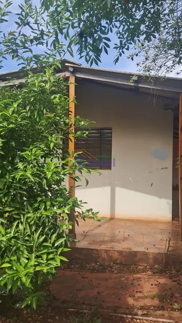 Foto 4 de Casa com 1 quarto à venda, 111m2 em Rosenthal, Santo Angelo - RS