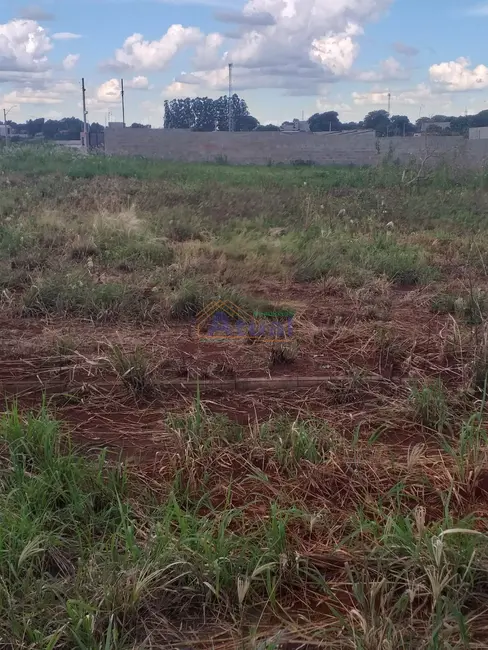 Foto 3 de Terreno / Lote à venda, 315m2 em Santo Angelo - RS