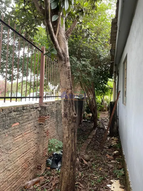 Foto 6 de Casa com 2 quartos para alugar em Mário Pilau, Santo Angelo - RS