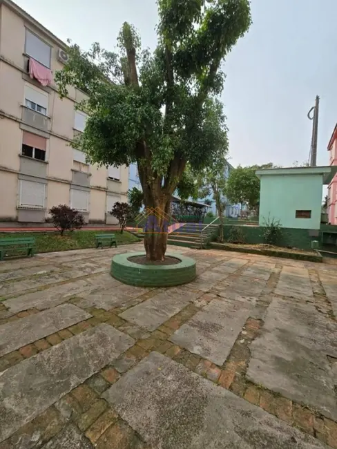 Foto 3 de Apartamento com 3 quartos à venda, 59m2 em Castelarim, Santo Angelo - RS