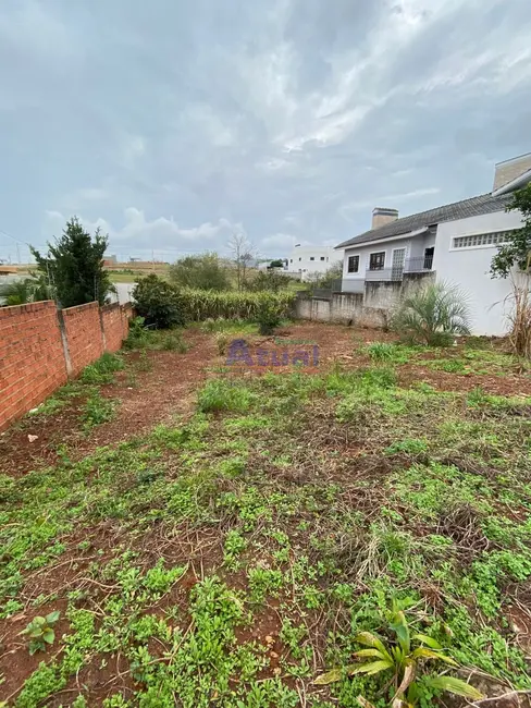 Foto 1 de Terreno / Lote à venda, 530m2 em Pascotini, Santo Angelo - RS