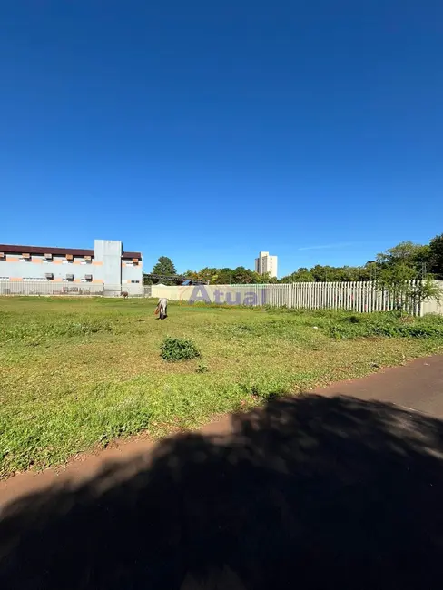 Foto 4 de Terreno / Lote à venda, 328m2 em Centro, Santo Angelo - RS