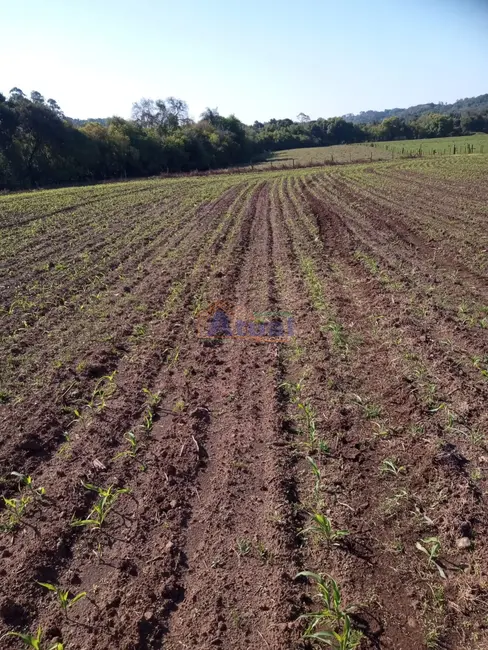 Foto 5 de Chácara com 2 quartos à venda em Vitoria Das Missoes - RS