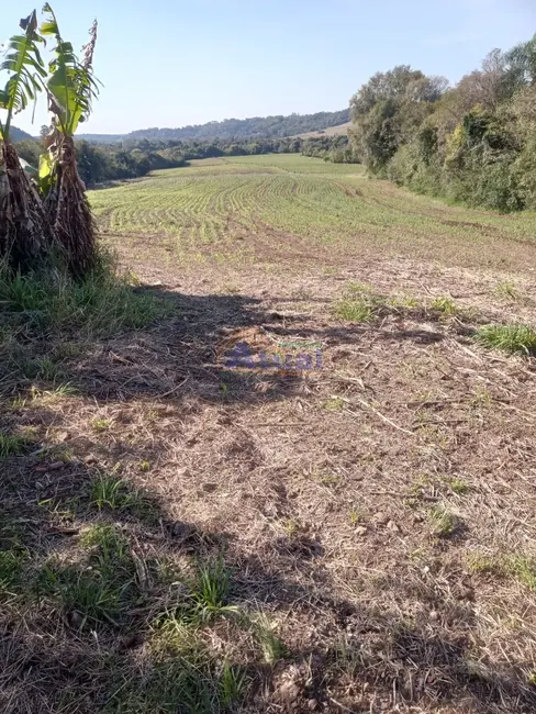 Foto 4 de Chácara com 2 quartos à venda em Vitoria Das Missoes - RS