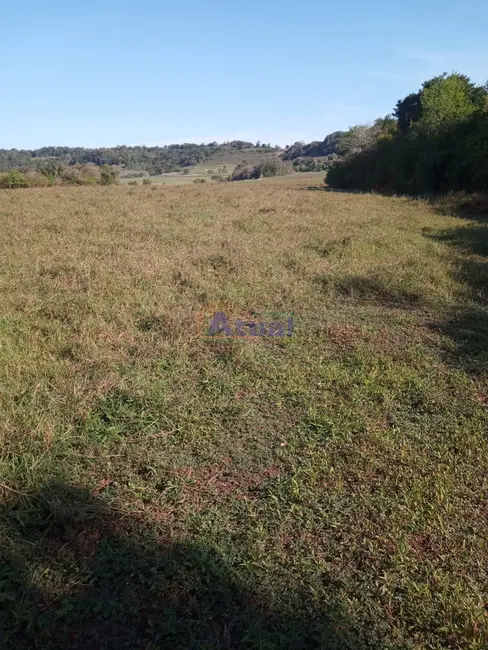 Foto 8 de Chácara com 2 quartos à venda em Vitoria Das Missoes - RS