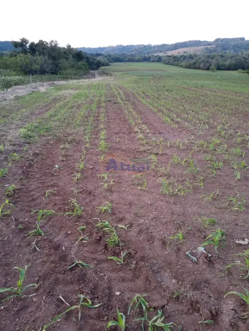 Foto 3 de Chácara com 2 quartos à venda em Vitoria Das Missoes - RS