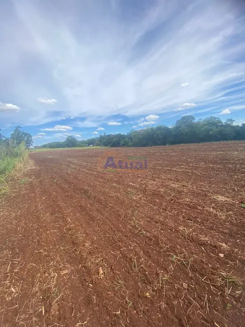 Foto 5 de Terreno / Lote à venda em Centro, Santo Angelo - RS