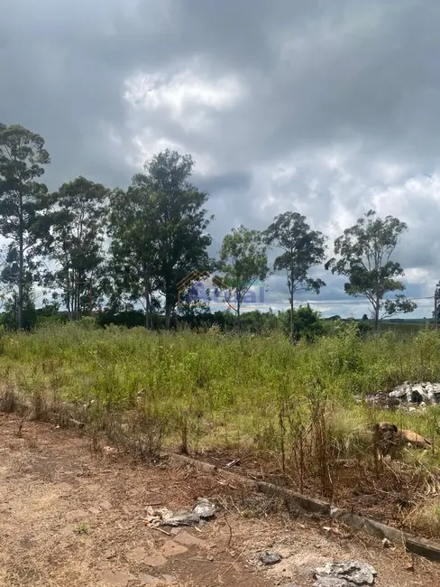 Foto 1 de Terreno / Lote à venda, 250m2 em Aliança, Santo Angelo - RS