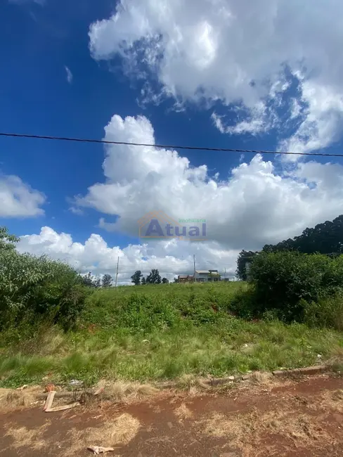Foto 3 de Terreno / Lote à venda, 250m2 em Aliança, Santo Angelo - RS