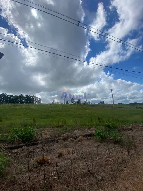 Foto 5 de Terreno / Lote à venda, 250m2 em Aliança, Santo Angelo - RS