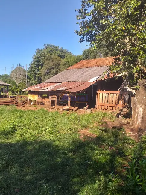 Foto 4 de Chácara com 3 quartos à venda, 75m2 em Santo Angelo - RS