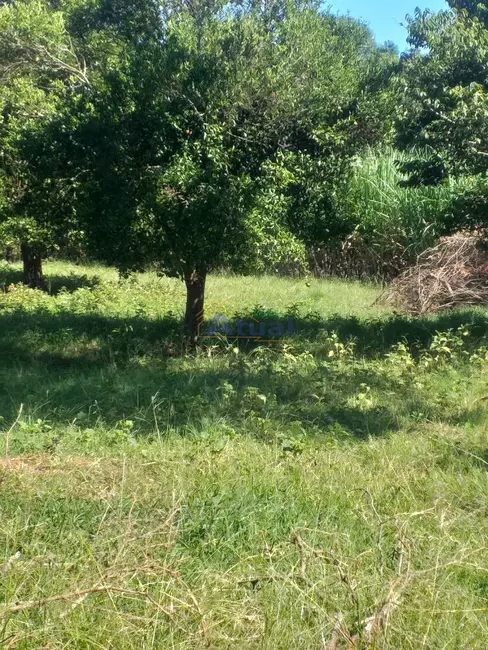 Foto 6 de Chácara à venda em Santo Angelo - RS