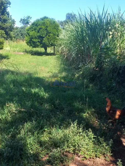 Foto 11 de Chácara à venda em Santo Angelo - RS