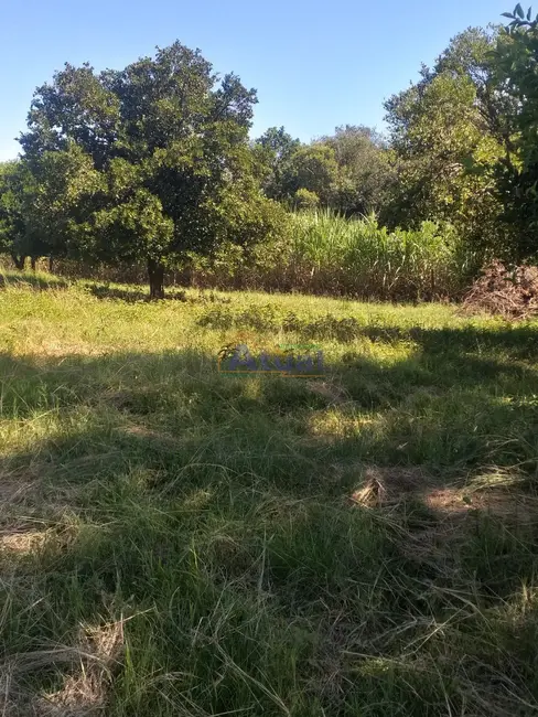 Foto 8 de Chácara à venda em Santo Angelo - RS