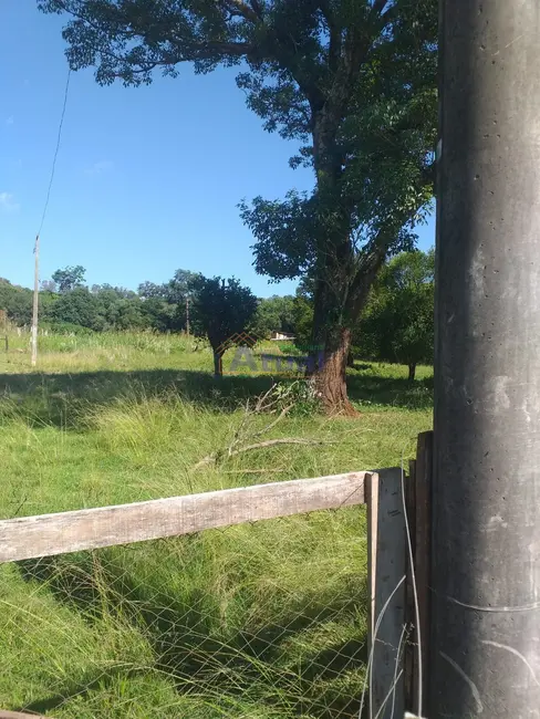 Foto 4 de Chácara à venda em Santo Angelo - RS