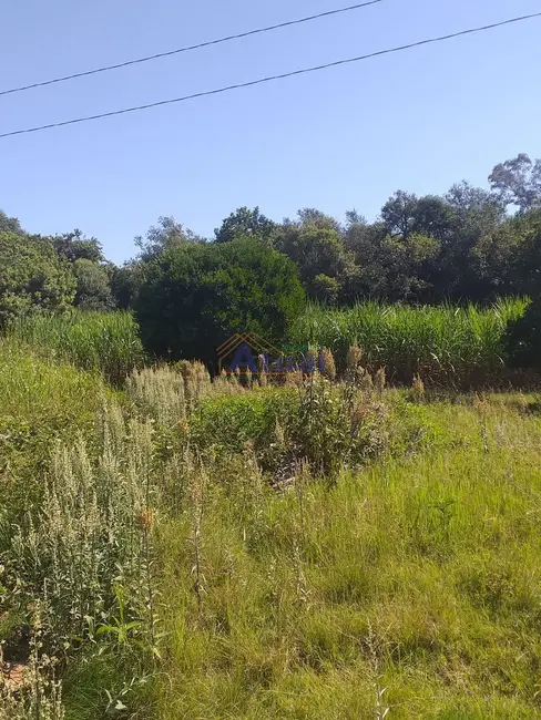 Foto 9 de Chácara à venda em Santo Angelo - RS
