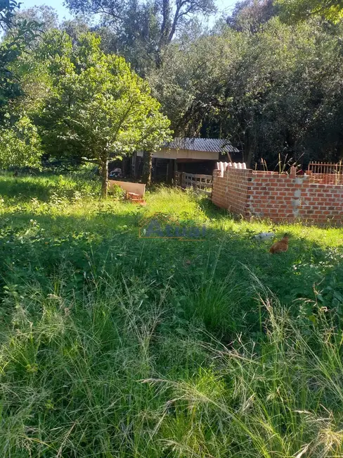 Foto 14 de Chácara à venda em Santo Angelo - RS