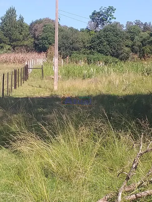 Foto 3 de Chácara à venda em Santo Angelo - RS