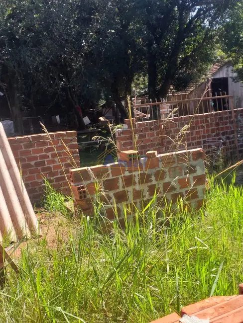 Foto 13 de Chácara à venda em Santo Angelo - RS