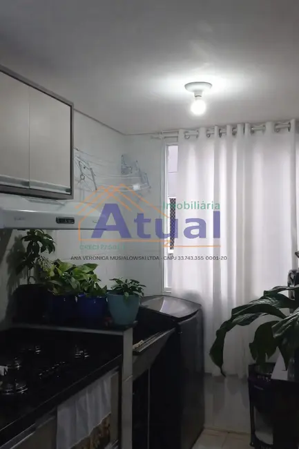 Foto 8 de Apartamento com 2 quartos à venda, 48m2 em São Carlos, Santo Angelo - RS