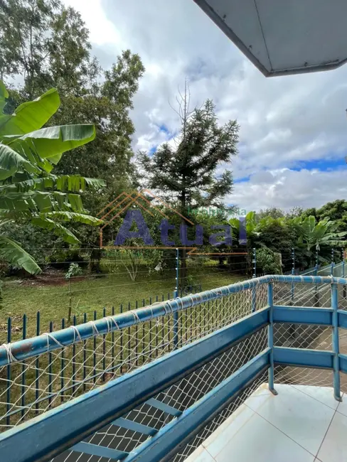 Foto 3 de Apartamento com 2 quartos para alugar em Menges, Santo Angelo - RS