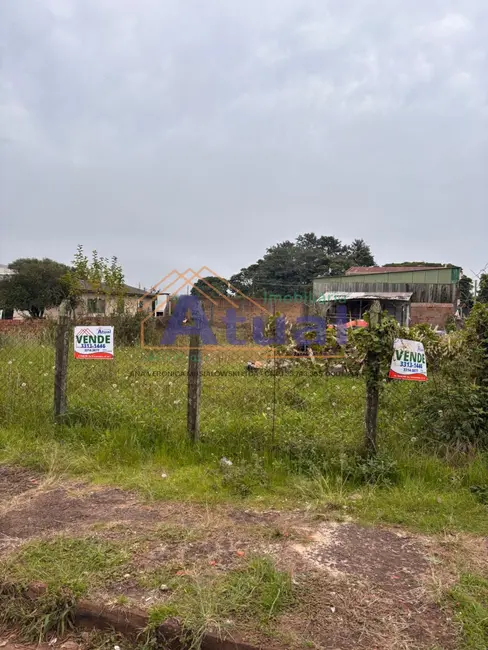Foto 1 de Terreno / Lote à venda, 56m2 em Pippi, Santo Angelo - RS