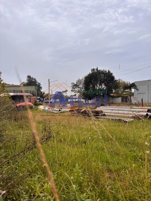Foto 4 de Terreno / Lote à venda, 56m2 em Pippi, Santo Angelo - RS