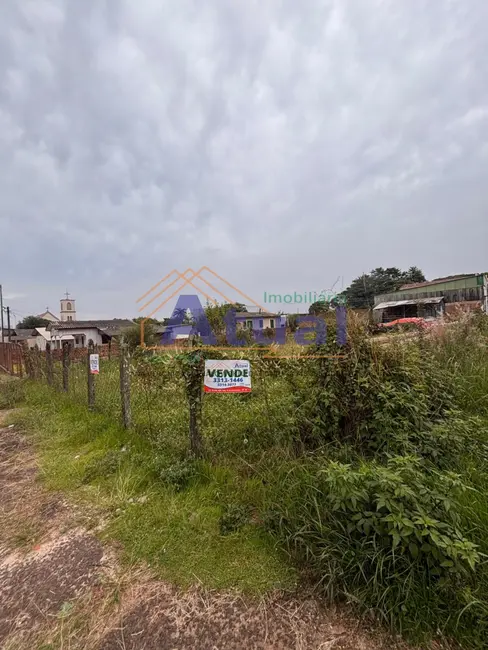 Foto 3 de Terreno / Lote à venda, 56m2 em Pippi, Santo Angelo - RS