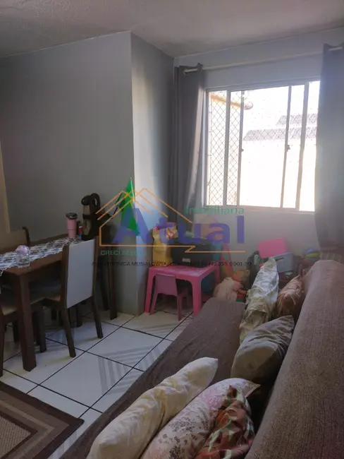 Foto 2 de Apartamento com 2 quartos à venda, 42m2 em Mário Pilau, Santo Angelo - RS