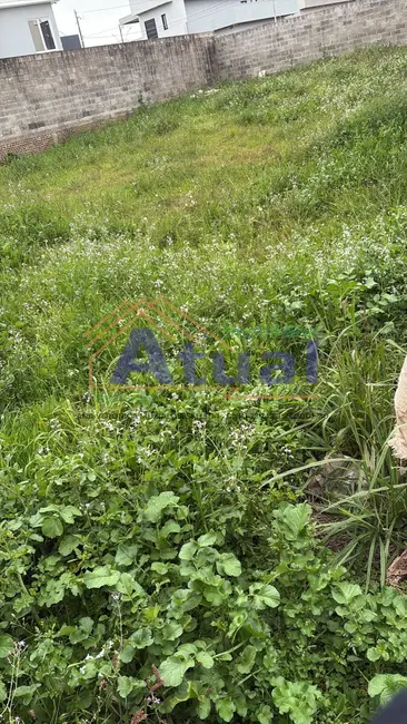 Foto 3 de Terreno / Lote à venda, 477m2 em Santo Angelo - RS