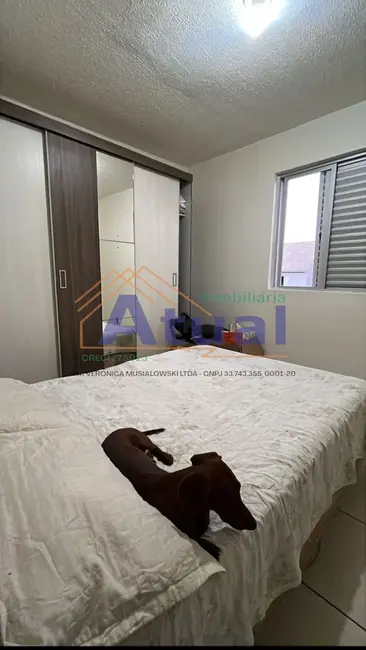 Foto 3 de Apartamento com 2 quartos à venda, 42m2 em Mário Pilau, Santo Angelo - RS