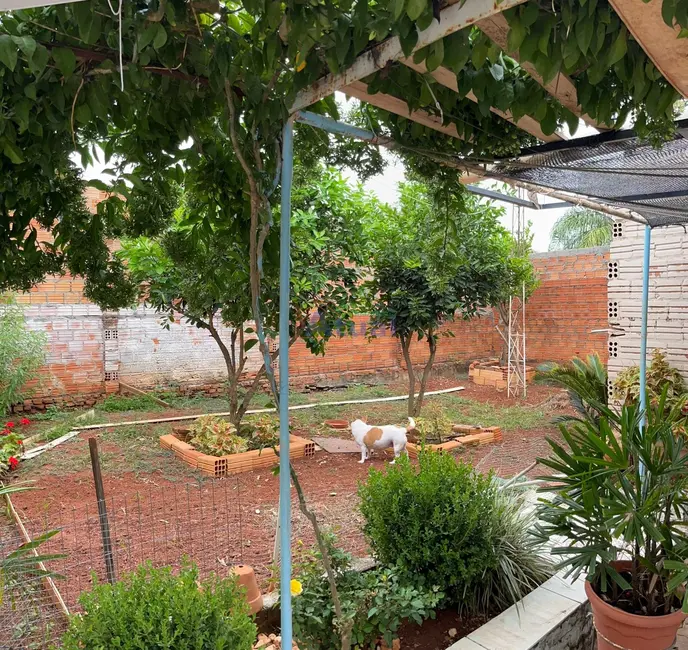 Foto 3 de Casa com 1 quarto à venda, 255m2 em COHAB, Santo Angelo - RS