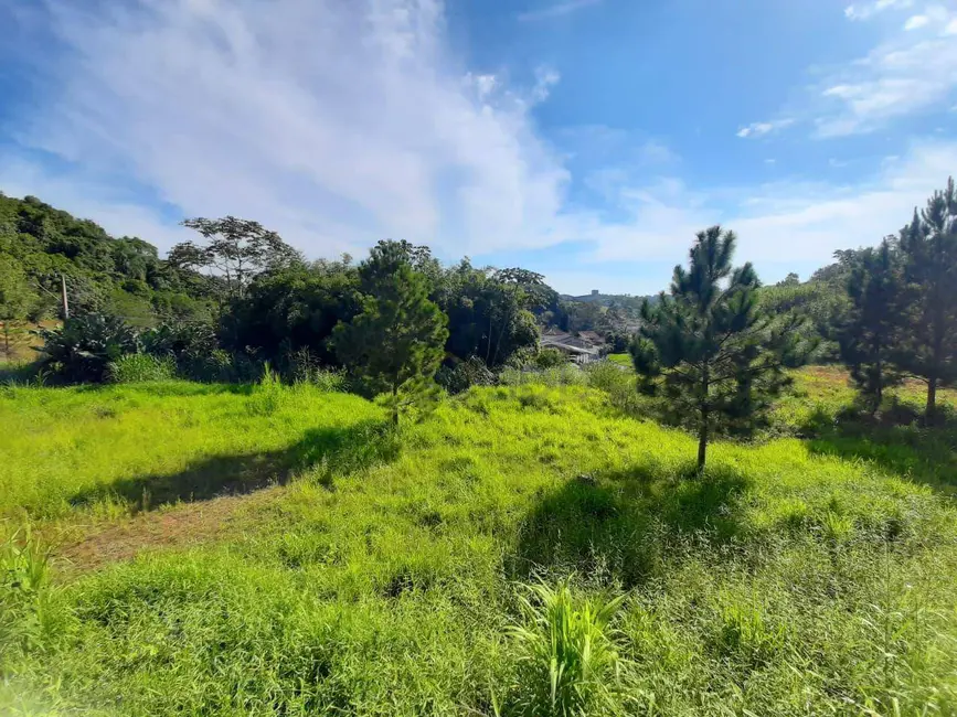 Terreno / Lote à venda, 5000m2 em Fortaleza Alta, Blumenau - SC - imagem 2 Foto 2 de Terreno / Lote à venda, 5000m2 em Fortaleza Alta, Blumenau - SC