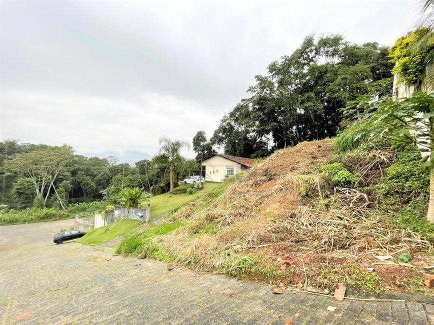 Terreno / Lote à venda, 444m2 em Escola Agrícola, Blumenau - SC - imagem 3 Foto 3 de Terreno / Lote à venda, 444m2 em Escola Agrícola, Blumenau - SC