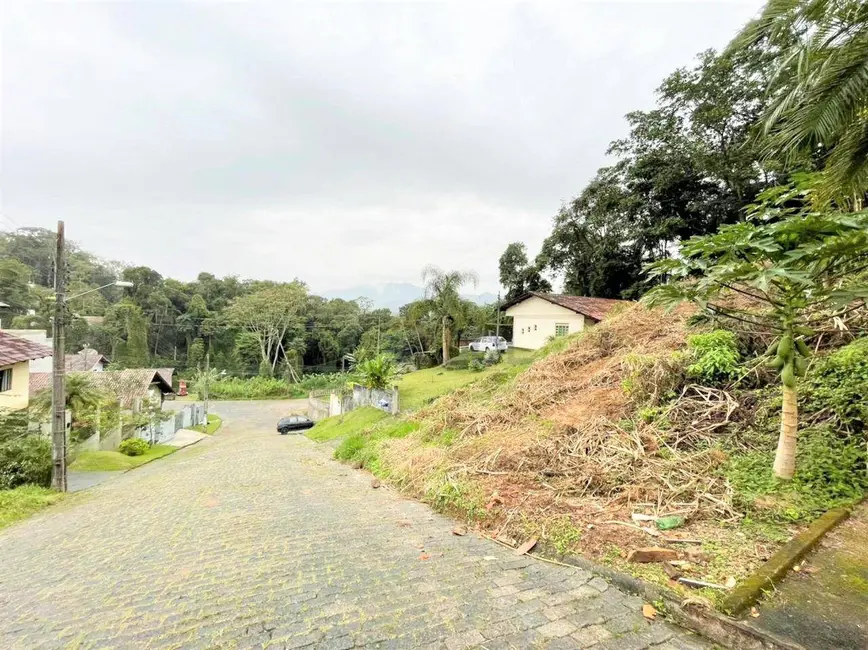 Foto 2 de Terreno / Lote à venda, 444m2 em Escola Agrícola, Blumenau - SC